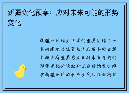 新疆变化预案：应对未来可能的形势变化